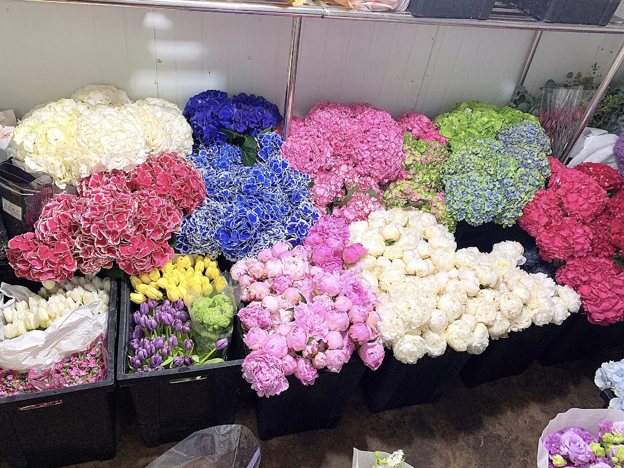 Talia Flower Shop