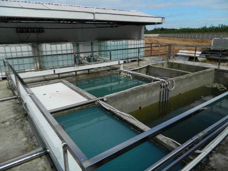 Công ty xử lý nước thải Hà Nội