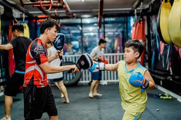học boxing Hà Nội 