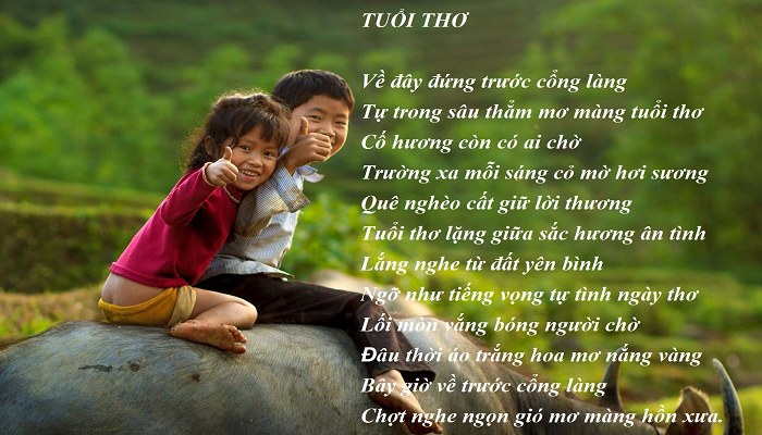 The POET magazine: Website tổng hợp những bài thơ Việt Nam hay nhất